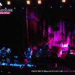 HongKong2_001.jpg