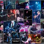 North American Shows